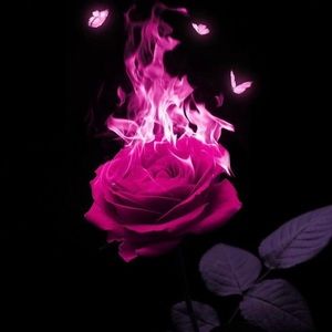 Meet your Posher, Gabriella